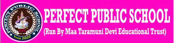 PERFECT PUBLIC SCHOOL (PPSSanjhauli) Logo